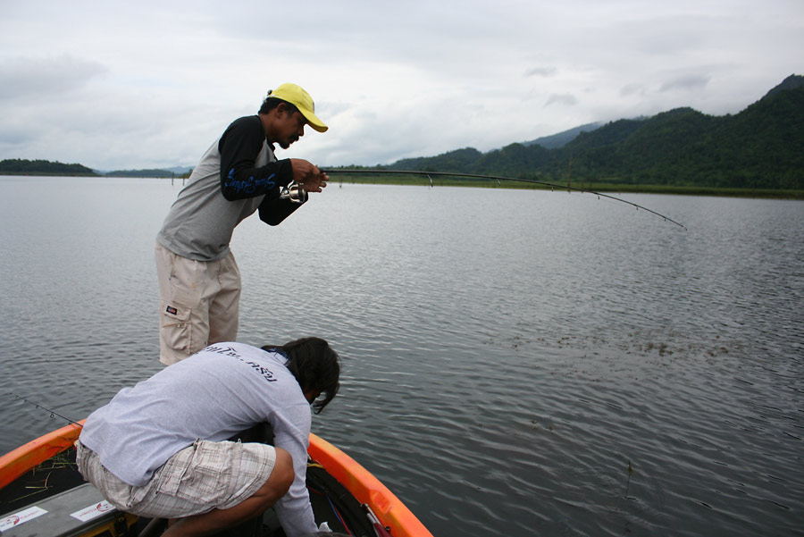 โปรก๊อบหาสวิงช้อน...... :ohh: :ohh: :ohh:....ปลาหันมาเห็นเรือ...ตกใจหันหน้าหนี...เบ็ดหลุด....กำ... :