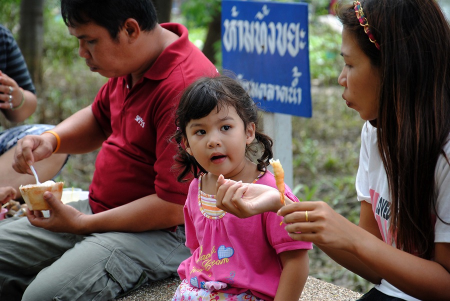 ลาด้วยภาพนี้เลยนะครับ     เห็นปะมันกินทั้งวัน  กินกระจาย  ไอ้เสื้อสีชมพู   น้ำหนักมันเยอะกว่าใครๆ