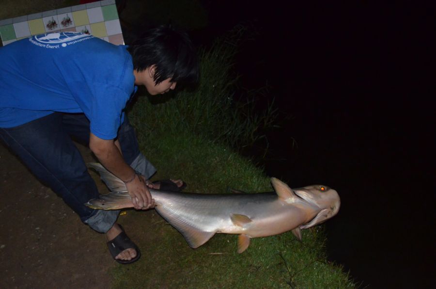 อ้าว...ปายเลย :smile: :smile: