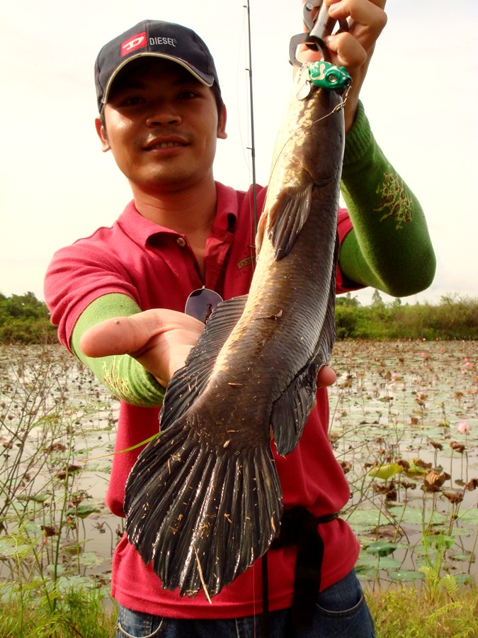 เอาอีกๆๆ.....จัดปายยยย....เอาหล่อๆ....เอาไว้...ไห้น้าปู้...ไปฝากสาวๆ...แถวมอ  คริๆๆๆๆๆ  :laughing: :