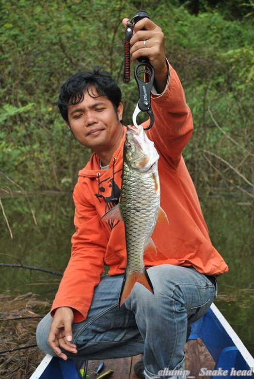 โชว์หน่อยพี่ เมื่อวานเศร้านิหน่า

 :laughing: :laughing: :laughing: