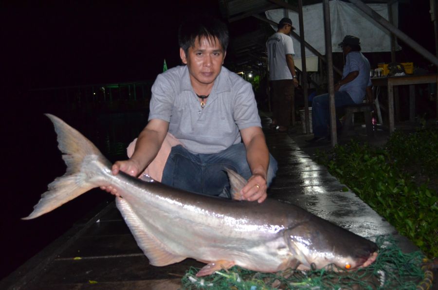 เอาไปเลยครับหนึ่งหล่อ :smile: :smile: :smile: