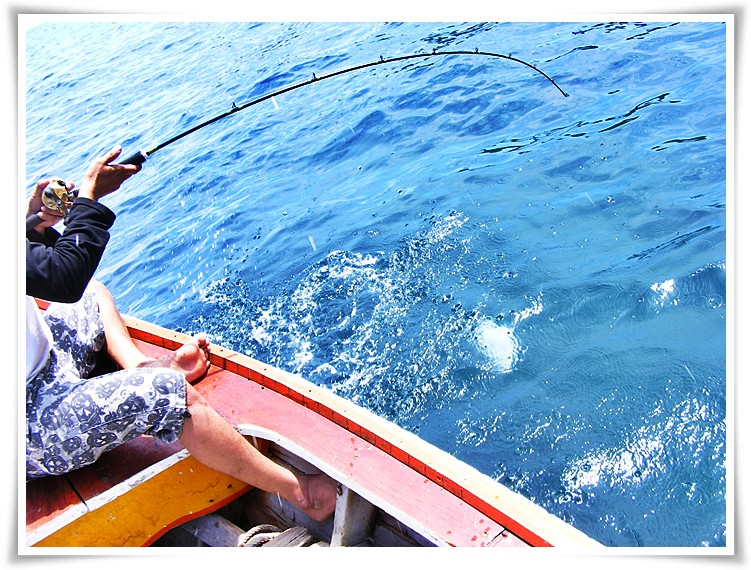  [center]เข้าสู่ช่วงชุลมุนเล็กๆ บางจังหวะอัดปลาอยู่ดีๆ ปลาสะบัดหลุด ตัวที่ตามมาก็ชาร์จเหยื่อต่อทันที