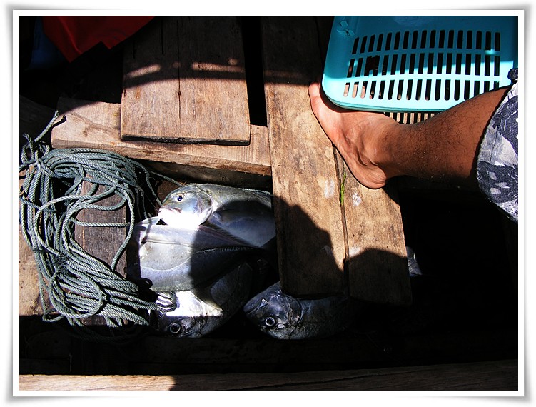  [center]อย่างที่บอกไว้แนวหินจุดไหนที่ปลากัดดีพอเรือเลยหมายบังก็จะย้อนกลับไปลอยลำซ้ำที่เดิมให้ตลอด :