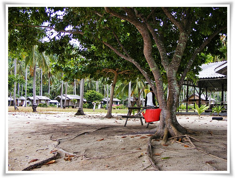  [center]ขึ้นฝั่งพร้อมทักทายเจ้าหน้าที่อุทยานเรียบร้อยก็หาที่ทางเตรียมทานมื้อกลางวันกันเลย[/center]