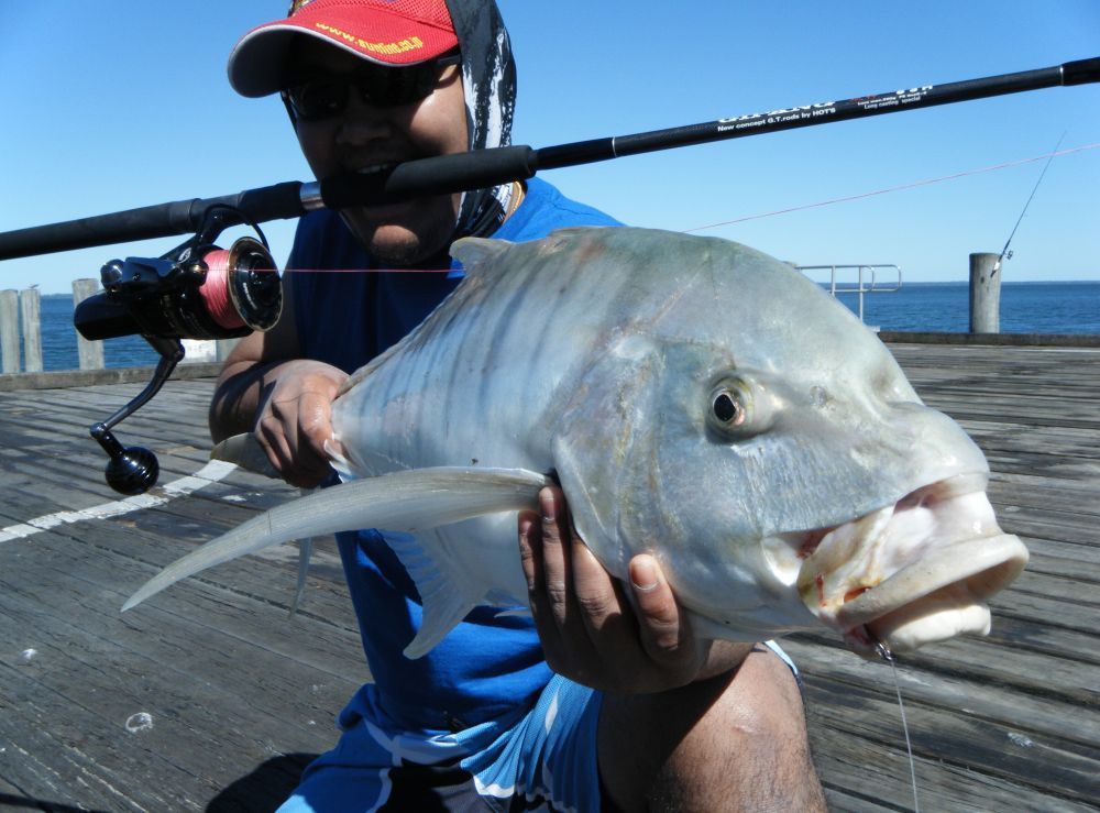 น้า Yotha ผมจะไปบริสเบนวันที่13ตุลานี้ครับ ผมมีทริฟ jigging amberjack และkingfish ที่นั้นวันที่16ตุล