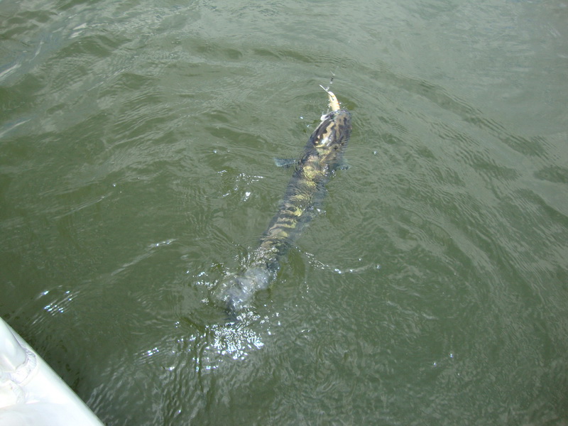  :smile: :smile: :smile: