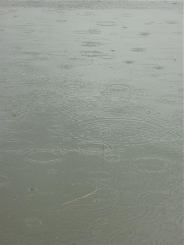 ทำไมชีวิตต้องมานั่งตากฝนพรำๆอย่างนี้เนาะ 
                         ร่มก็บังฝนไม่มิด ฝนสาดละอองพาเปี