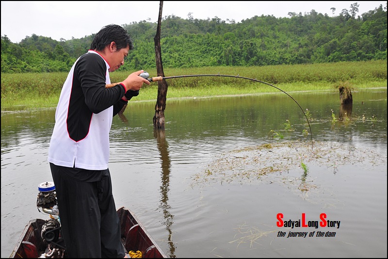 อย่างที่บอก ไม่นานคงพบกัน...

เพียงเช้าวันถัดมา พี่ต่อก็เจอของใหญ่ที่รอคอย

"หมดแอ็คชั่น" โดยส