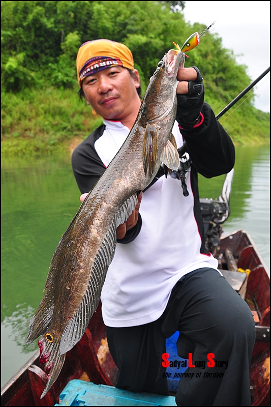 สุดท้ายแล้วสำหรับเรื่องราว "ความสุข" เล็กๆน้อยๆของผม

คงเหมือนๆกับทุกคน การได้แบ่งปัน "ประสบการ