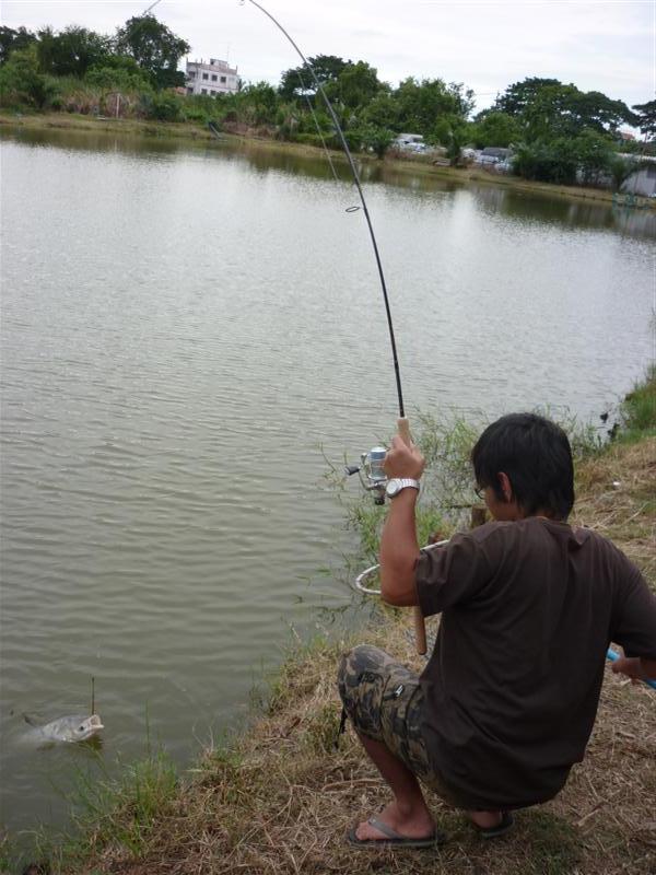 ท้าวความเมื่อตอนเย็นครับ