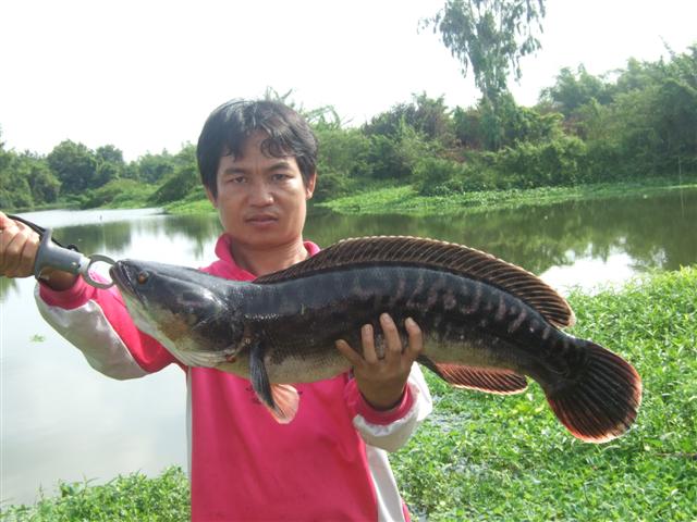แป๊ะอีก...