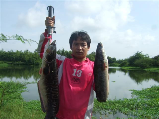 แป๊ะโชว์ .....