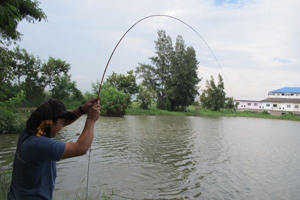 หันมาอีกทีเอาวัดอีกแล้ว 