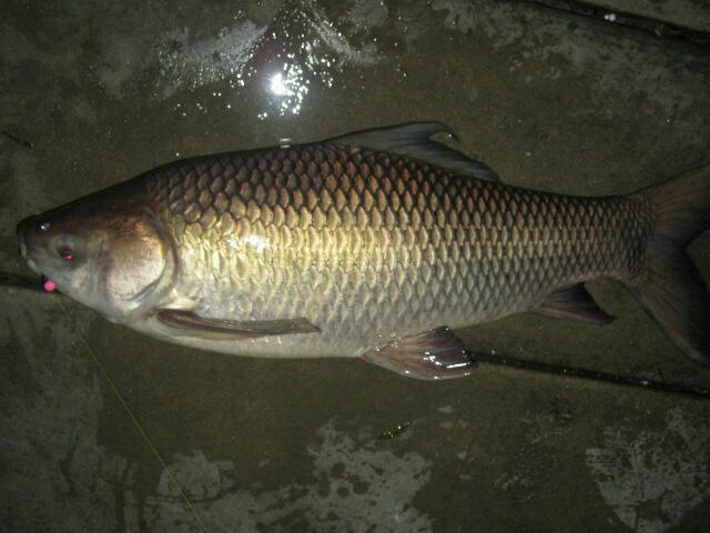 เสร็จผม