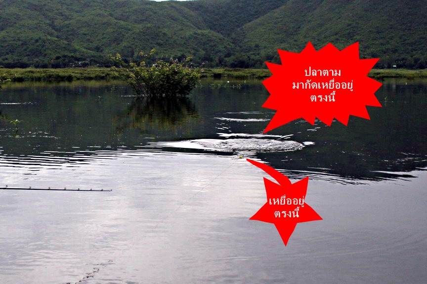 ขอบอกเพื่อนๆเลยครับ.....เสียวสุดๆหัวใจจะวายให้ได้เลยครับ :ohh: :ohh: