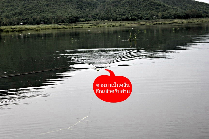 เสียวครับ :ohh: :ohh: