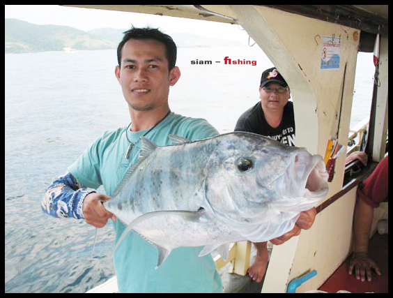 ขึ้นมาแล้วขนาดงรามมากๆๆ  :smile: :smile: :smile: