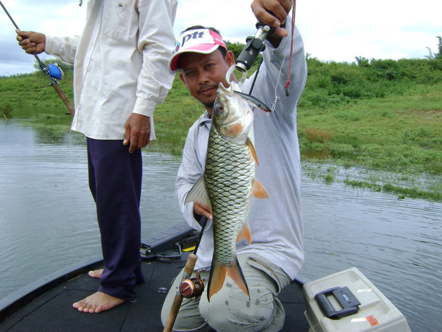  [b]ผลงานของ Rapala Flatrap 08[/b]   :love: