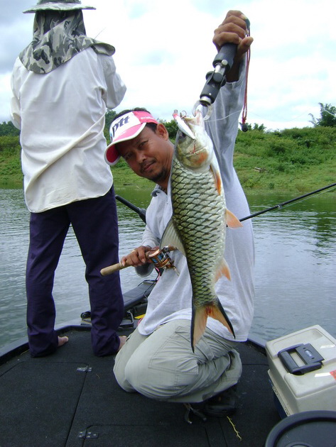  [b]อีกตัวจากเหยื่อมินนาว Rapala Flatrap 08[/b]  :love: