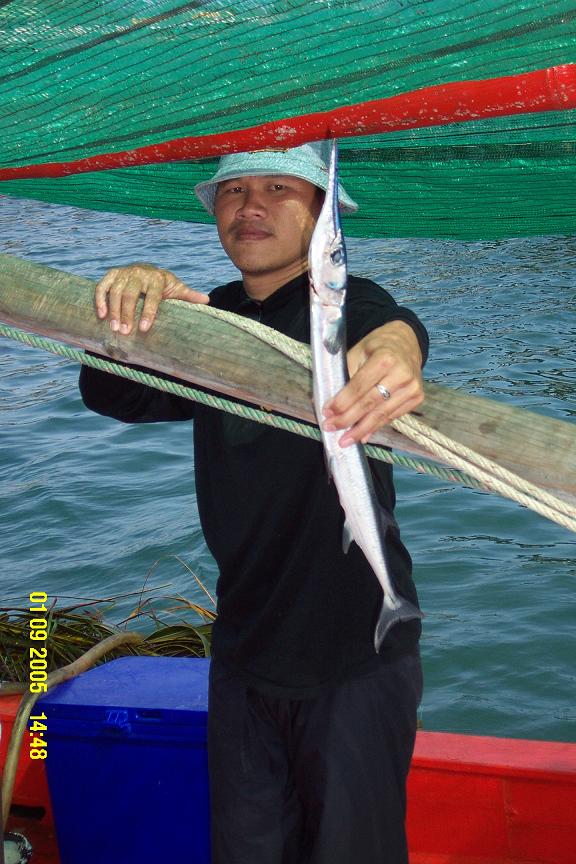 ปลาหย่าย :laughing: :laughing: