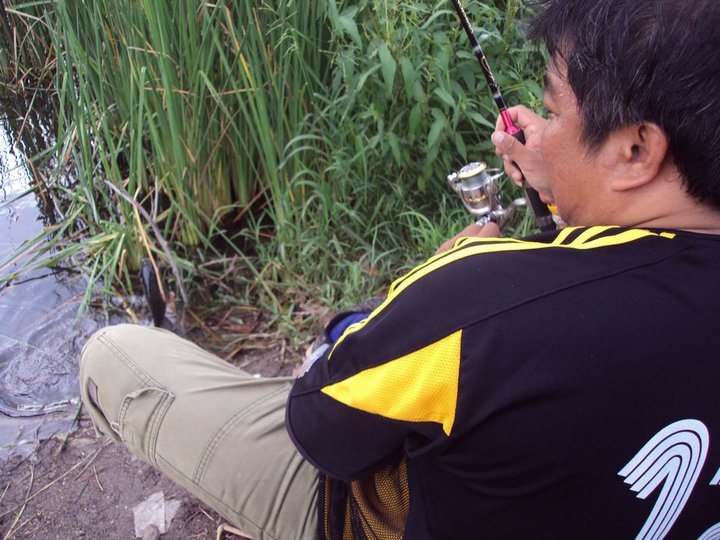 งามคับ ปลานิล ธรรมชาติคับ