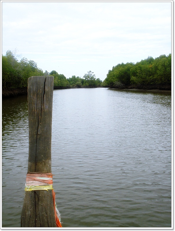  [b]เรือวิ่งเข้า"บาง" เข้าสู่ท่าเรือปู ที่ชาวบ้านดำเนินการขึ้นเอง..แบบง่ายๆ

บางน้ำหลายสายแถบนี้