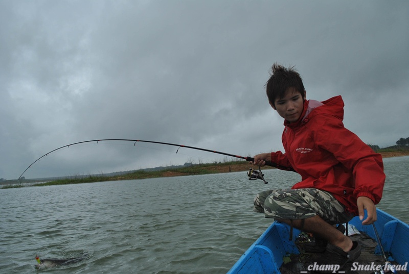 ออกมาข้างนอก ก็โดนครับ คราวนี้เป็นชะโด


[q][i]อ้างถึง: boattiez posted: 29-07-2554, 02:15:06[/i]