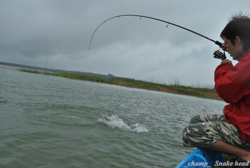 [q][i]อ้างถึง: pat-fishing posted: 29-07-2554, 22:58:28[/i]

เลิก ก็ เลิก ไป แค่นั้นเอง แชมป์ จิ๊ป