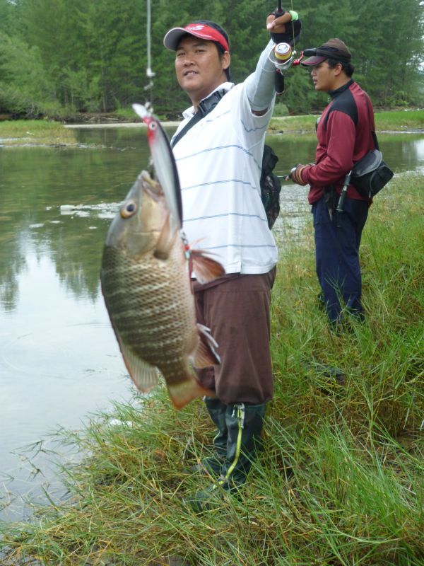  [b]ตัวมันเล็กครับเหยื่อที่ใช้กันวันนี้ก็ Rapala X-Rap 6 cm[/b] :sad: :sad: :sad:


_____________