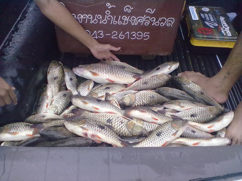 เขื่อนอุบลรัตน์ ในวันที่ฝนพรำ