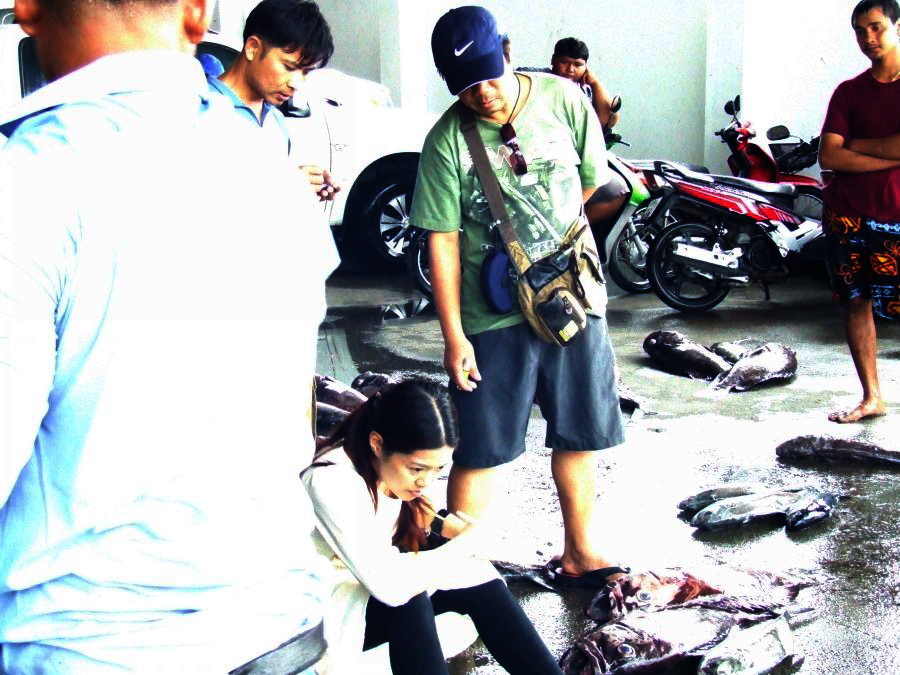 พี่ตรูไม่ห่างเลยนะ!

 :laughing: :laughing: :laughing: :laughing: :laughing: