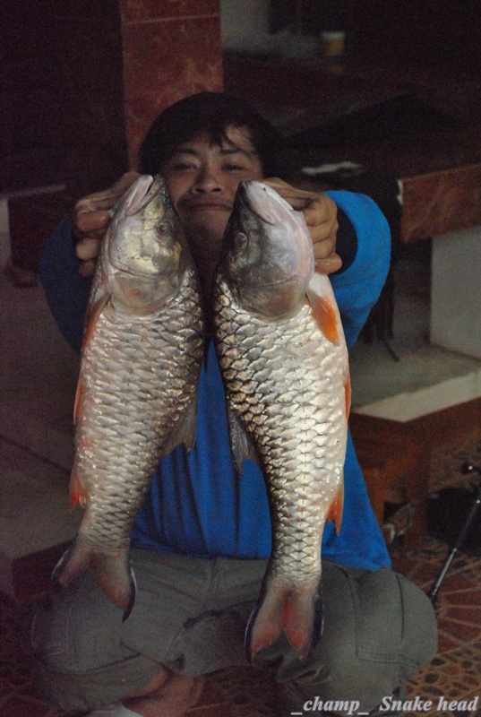 ลาด้วยภาพนี้ครับ ขอบคุณน้าๆ ที่ติดตามชมคร๊าบบบบบบ


 :grin: :grin: :grin: :grin: