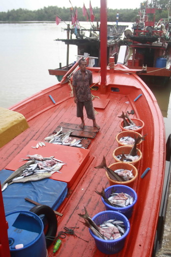 แบแซไต๋เรือ เป็นคนแบ่งปลาตามจำนวนสมาชิก
