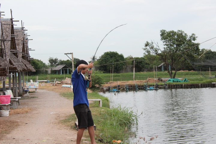 น้าเติร์กโดนแล้วครับ    :grin: :grin: :grin: