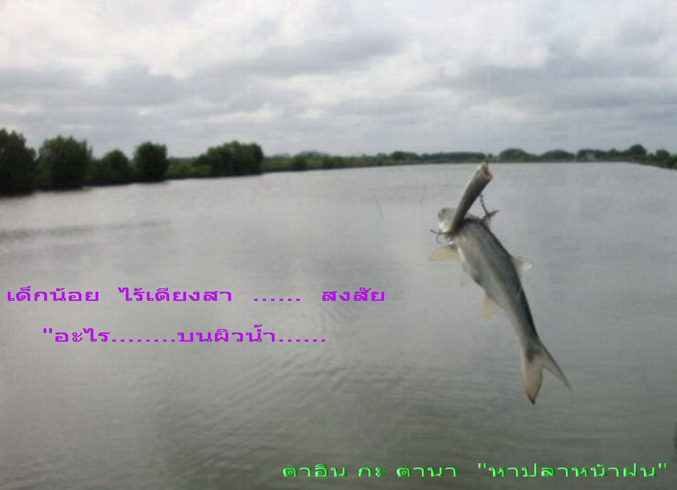 ประมาณบ่าย 4 โมงครึ่ง  ฟ้าที่มีแดดสดใส  เริ่มดำทะมึน...............

ผมก็จั่วเด็กน้อย  ที่สงสัย...