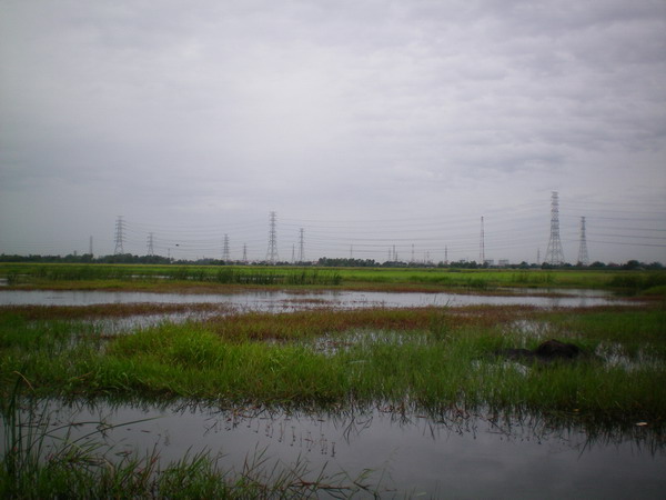สวยๆ ๆ น่าจะมีตัวเยอะแน่ๆ