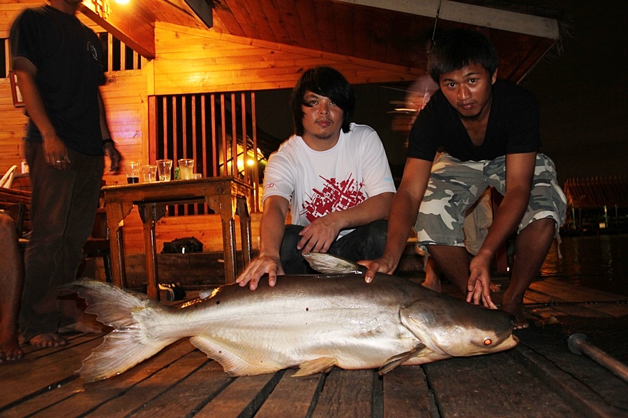 ขอถ่ายไว้เป็นที่ระทึกหน่อย   



หวัดดีครับน้าP _TANG