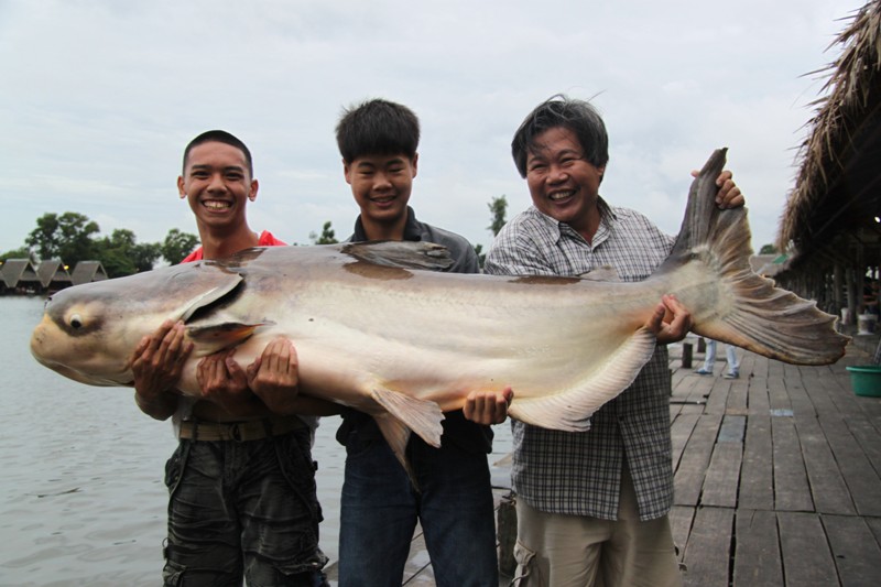 รูปสุดท้ายคับผม

ไว้เจอกันใหม่อาทิตย์หน้า :grin: :grin: :grin: :grin: