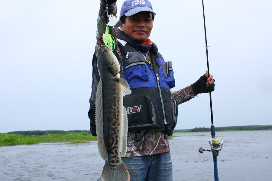 กัด Buzz Bait เต็มๆครับตัวนี้...