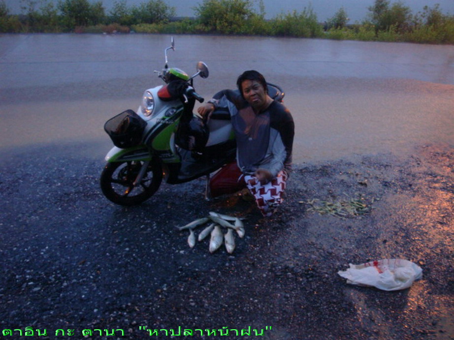 เอ้า  จัดภาพตาอิน  เจ้าของหมายตกปลา  หมายเด็ดๆ  เก่าๆ ที่ทิ้งไปนาน   อีกสักภาพนะ  

คราวนี้  ไม่ใส