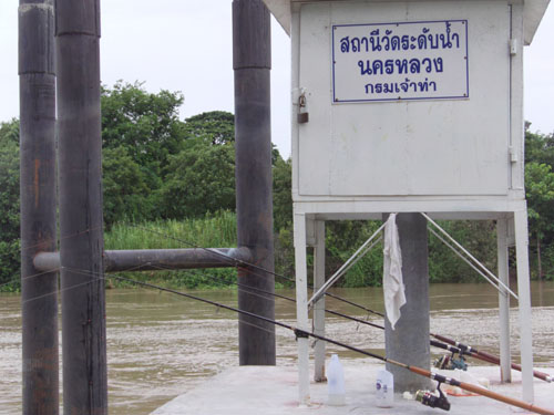 ข้าวอัดนะครับ
