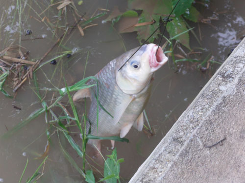 หน้าอำเภอนครหลวงครับ
