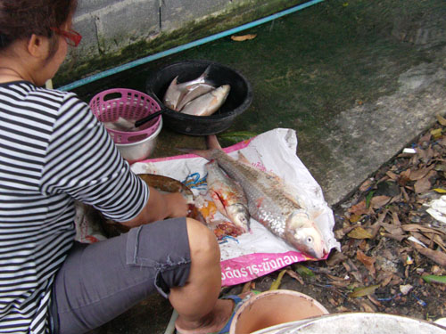 เสร็จที่แม่บ้าน :sad: :sad: