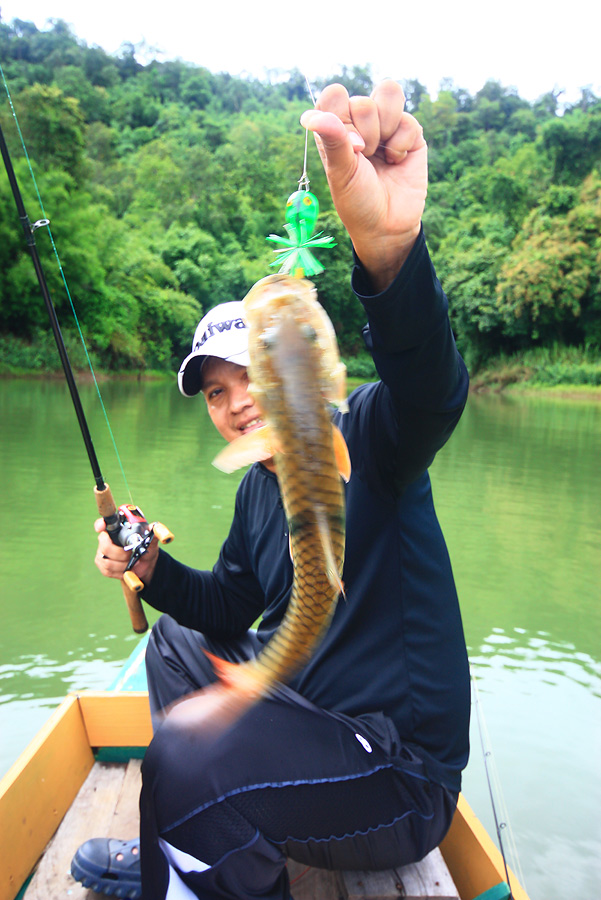 อ้าวปลาบังหน้าโปรอีก  :laughing: :laughing: :laughing:
