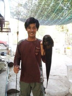 ไม่รูใช้ได้ป่าว :grin: