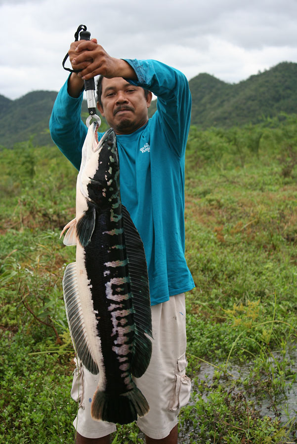  [b]ก่อนจาก.....ขอหล่อซักรูป..[/b].. :laughing: :laughing: :laughing: :laughing: :umh: :umh:...


