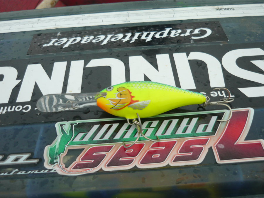 เหยื่อสำหรับขุดวันนี้.....