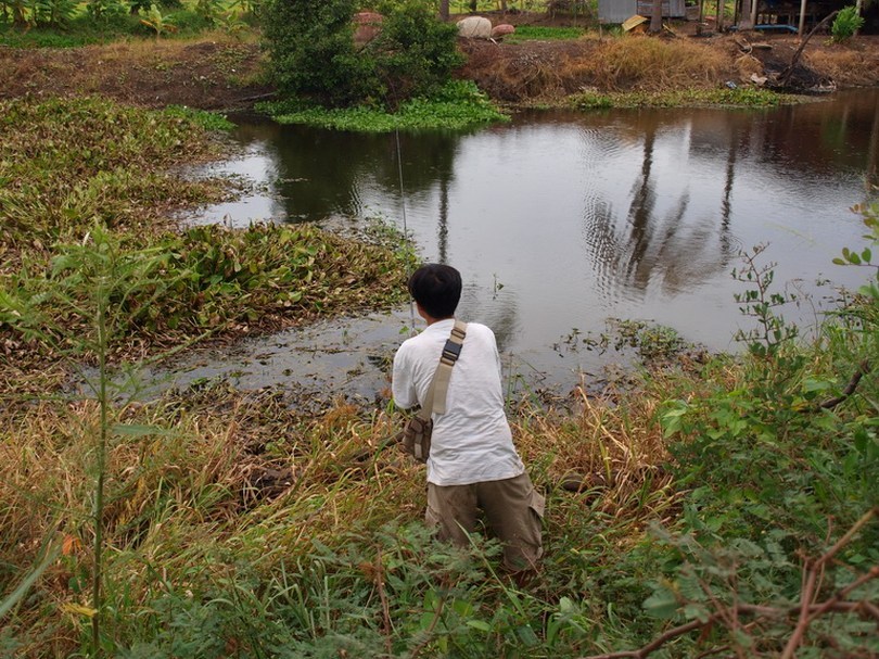 ขากลับเจอคลองส่งน้ำด้านหน้า ฝนก็เริ่มซาแล้วเลยลองดูหน่อย

เผื่อจะได้เอาไปแช่เกลือตัว

 :grin:

