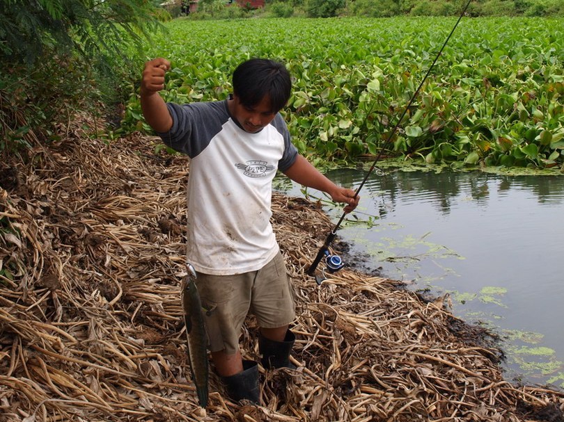 แล้ว Rapala Fat Rap ก็ไม่ทำให้ผิดหวัง ได้ช่อนมาอีกตัว

 :grin:
